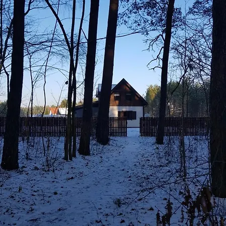 łap * Pelnik