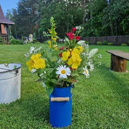 Lap Prázdninový dům Pelnik