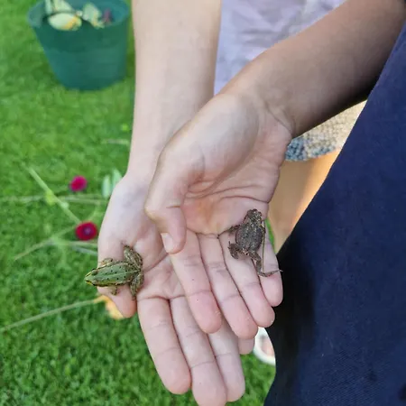 Prázdninový dům Lap *