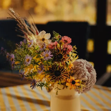 Prázdninový dům Lap